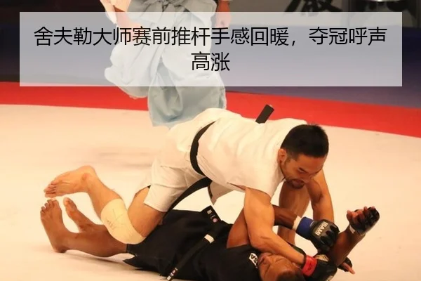 she-fu-lei-da-shi-sai-qian-tui-gan-shou-gan-hui-nuan-duo-guan-hu-sheng-gao-zhang-2-273.jpg