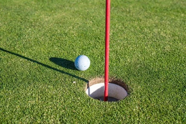 golf putting green